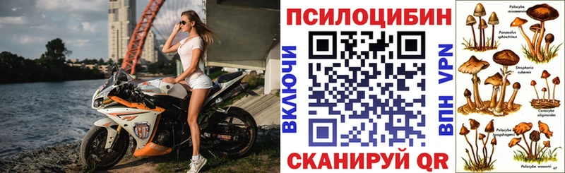 Галлюциногенные грибы прущие грибы  Воткинск 